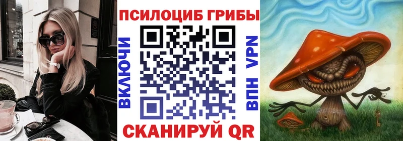 дарк нет формула  как найти наркотики  Кыштым  Галлюциногенные грибы MAGIC MUSHROOMS 